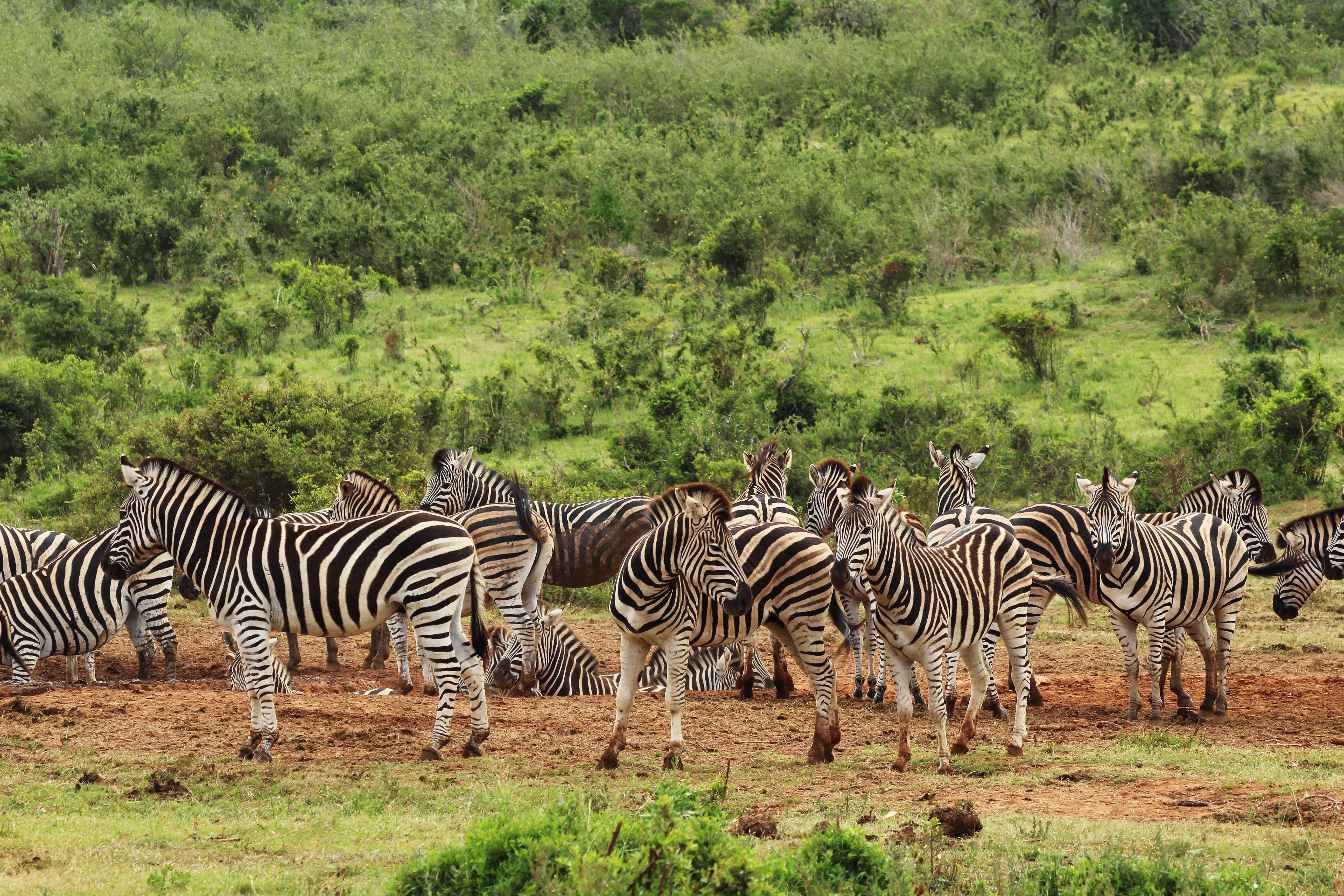 Tourism Investment Opportunities